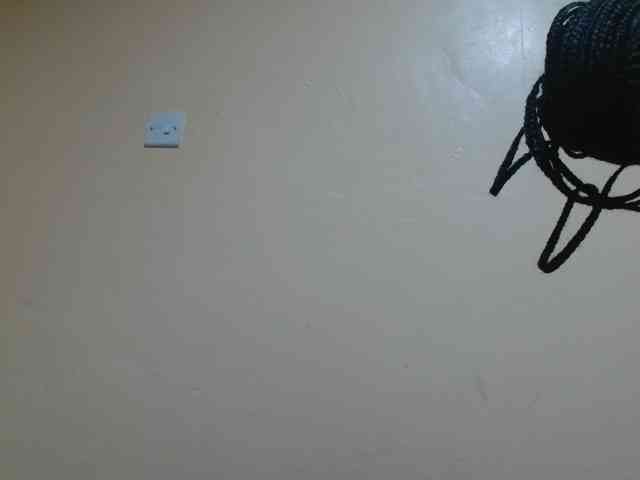 Petitebunni webcam