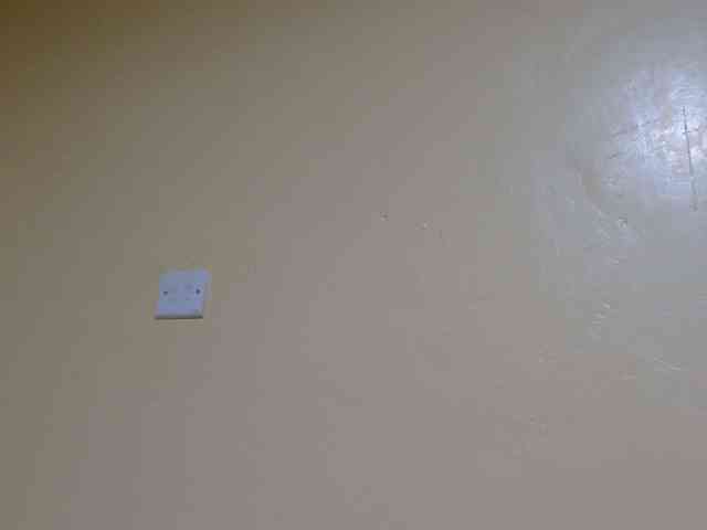 Petitebunni webcam
