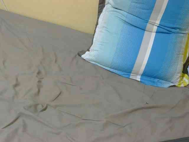 Petitebunni webcam