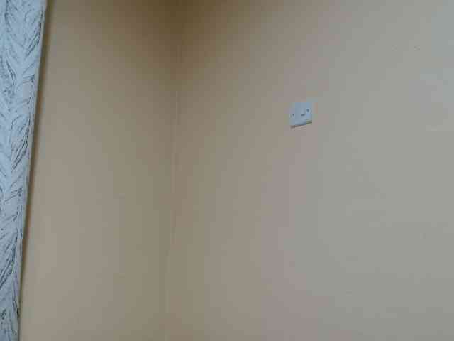 Petitebunni webcam