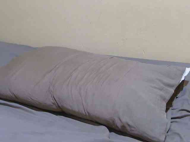 Petitebunni webcam