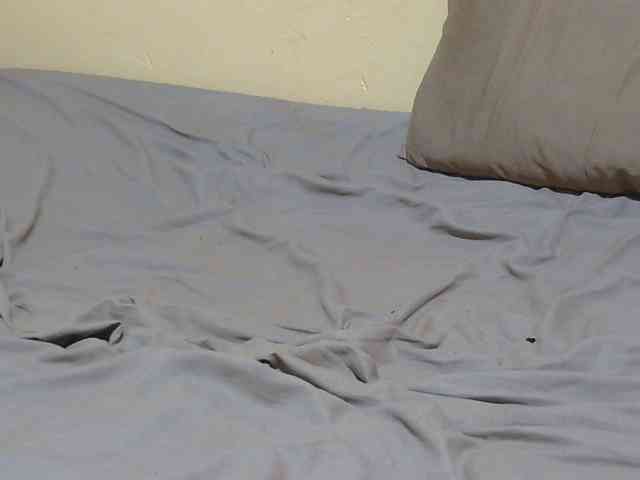 Petitebunni webcam