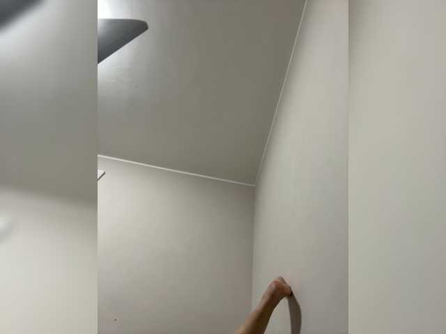 Preview of picara-09