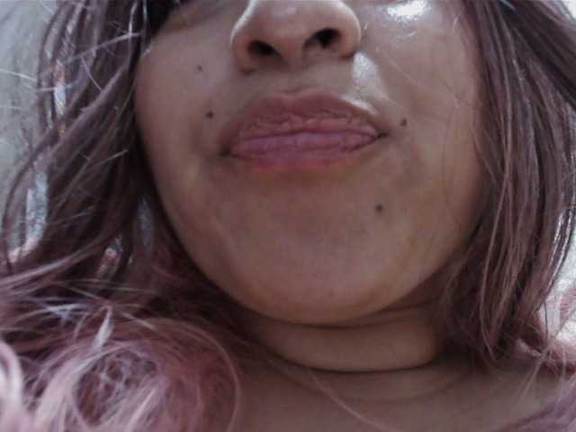 Preview of picara-09