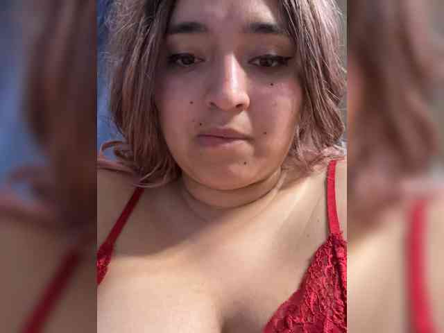 Picara-09 webcam