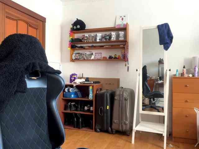 PlushPoutX webcam