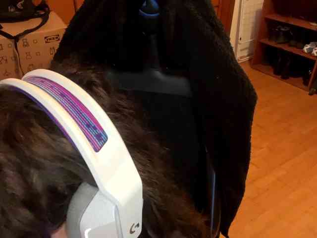 PlushPoutX webcam