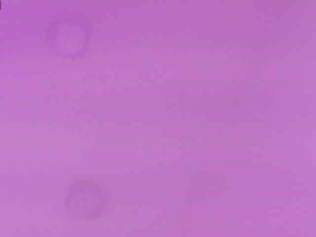 ManuelaRousse webcam