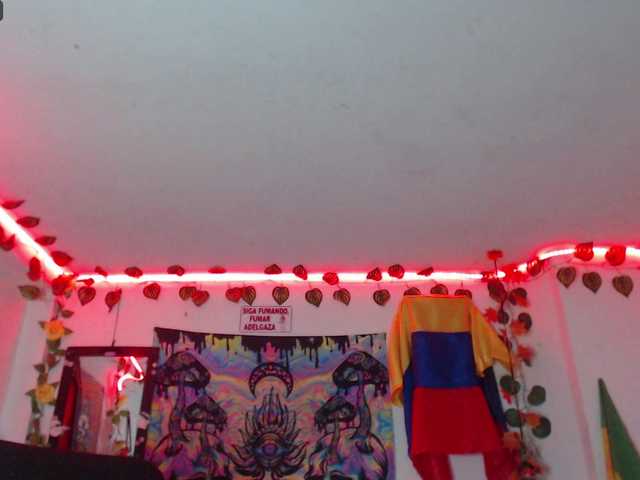 Preview of dakkohott