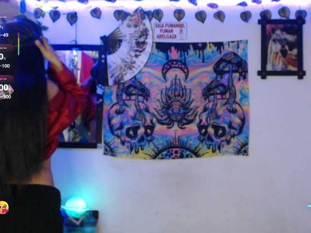 dakkohott webcam