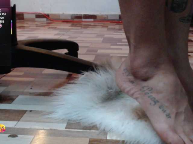 dakkohott live webcam show