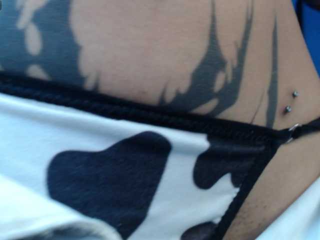 dakkohott live cam preview