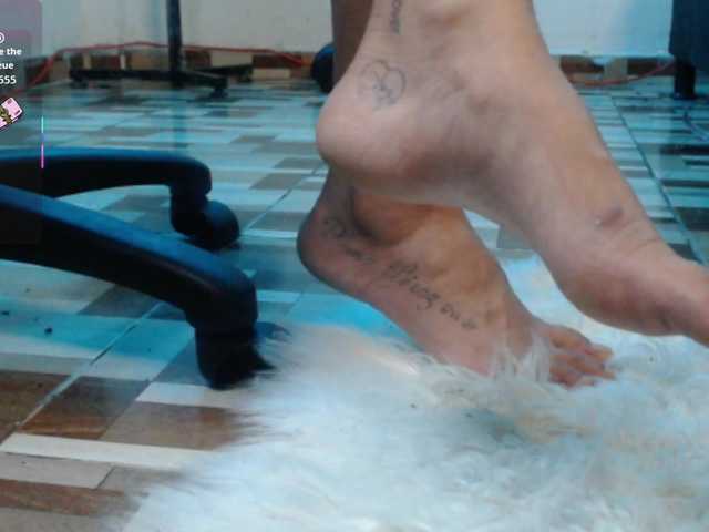 dakkohott live webcam show