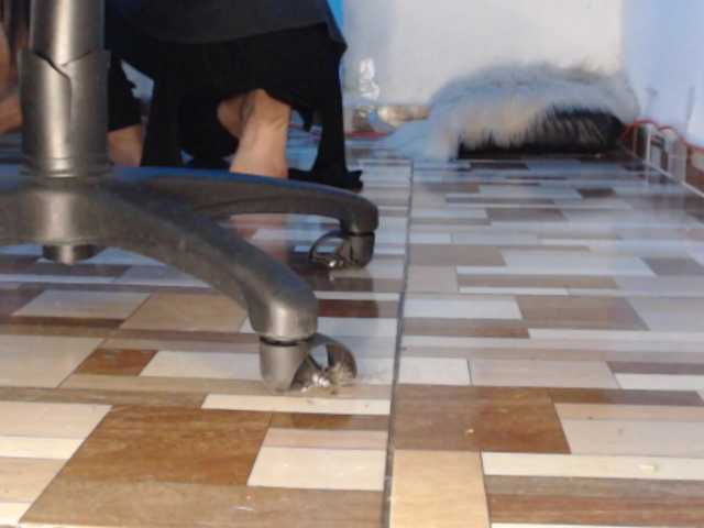 dakkohott live cam preview