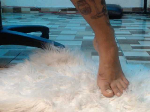 dakkohott live webcam show