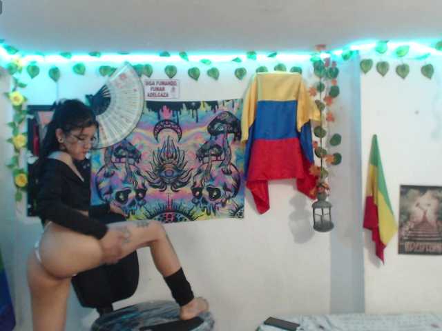 Preview of dakkohott