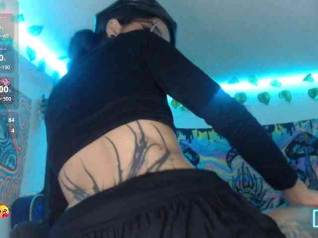 dakkohott webcam