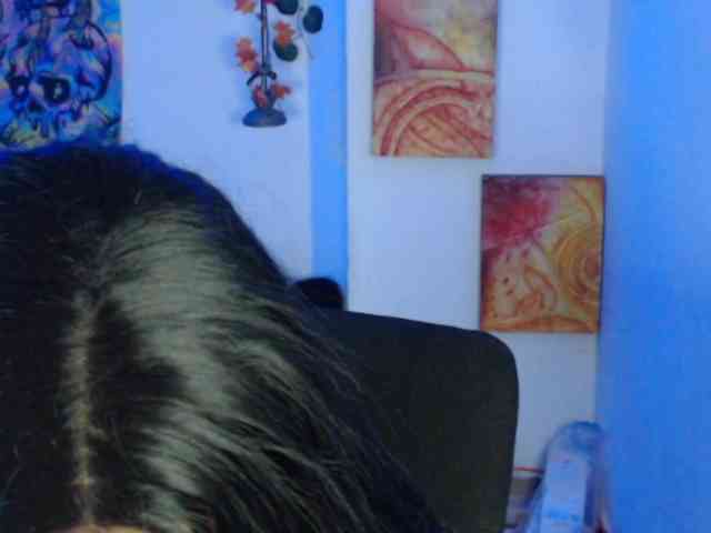 dakkohott webcam