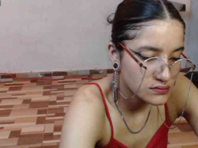 dakkohott webcam