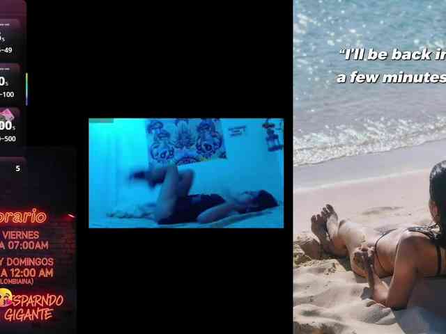 dakkohott webcam