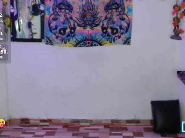 dakkohott webcam