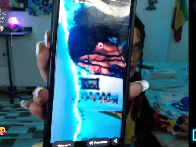 dakkohott webcam