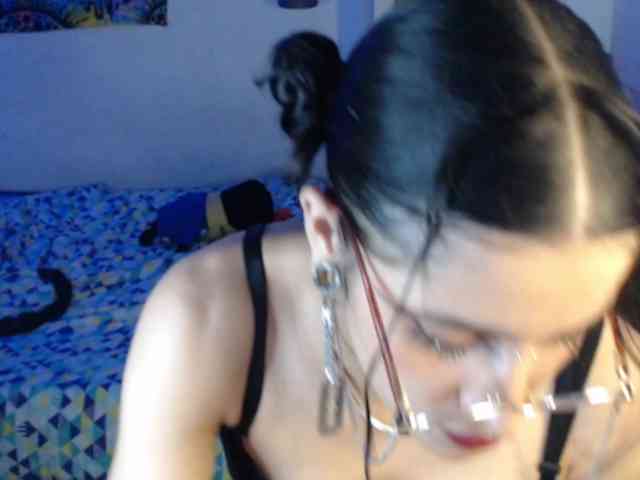 dakkohott webcam