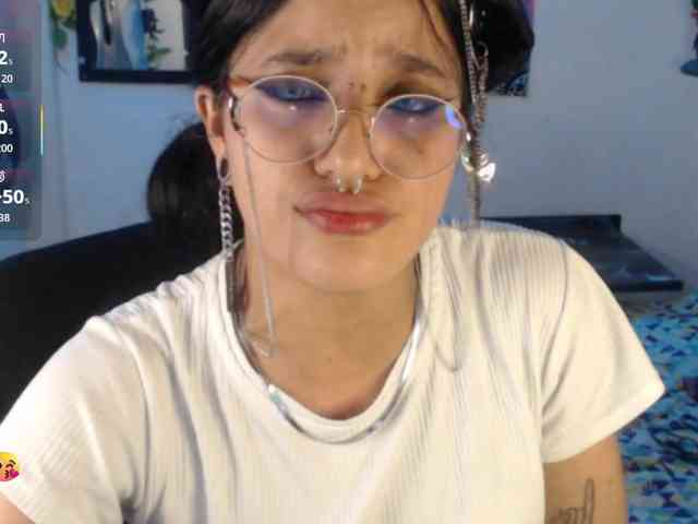 dakkohott webcam