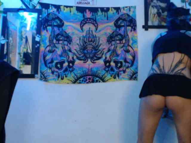 dakkohott webcam