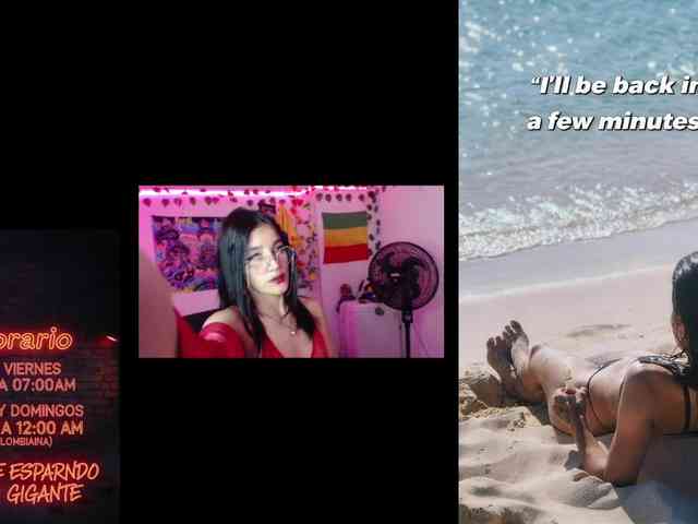 dakkohott webcam