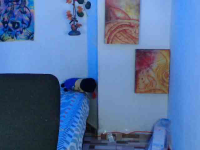 dakkohott webcam