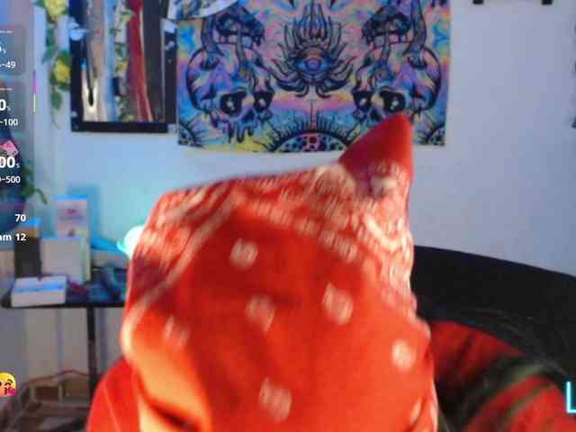 dakkohott webcam