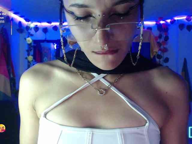 dakkohott webcam
