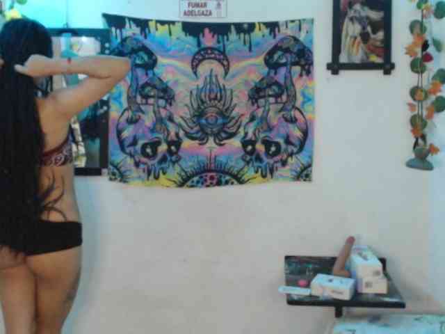 dakkohott webcam
