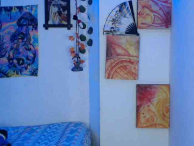 dakkohott webcam