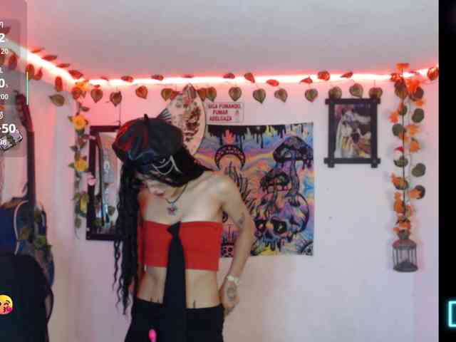 dakkohott webcam