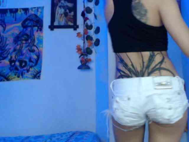 dakkohott webcam