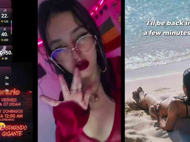 dakkohott webcam
