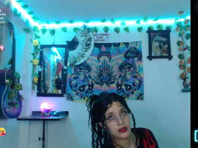 dakkohott webcam