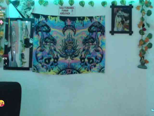 dakkohott webcam