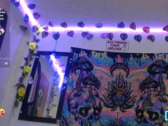 dakkohott webcam