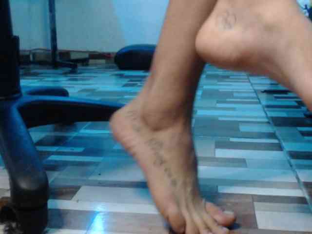 dakkohott webcam