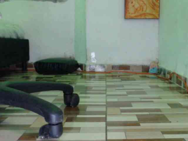 dakkohott webcam