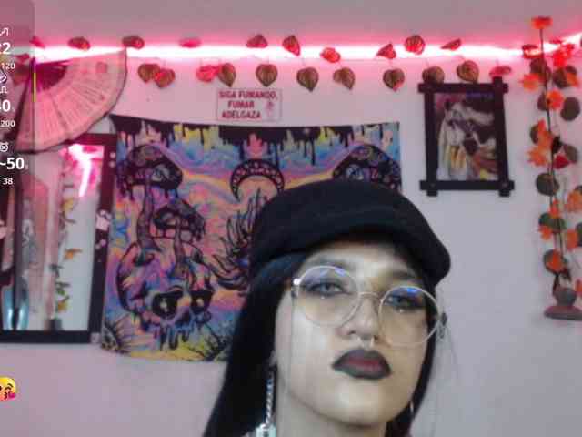 dakkohott webcam
