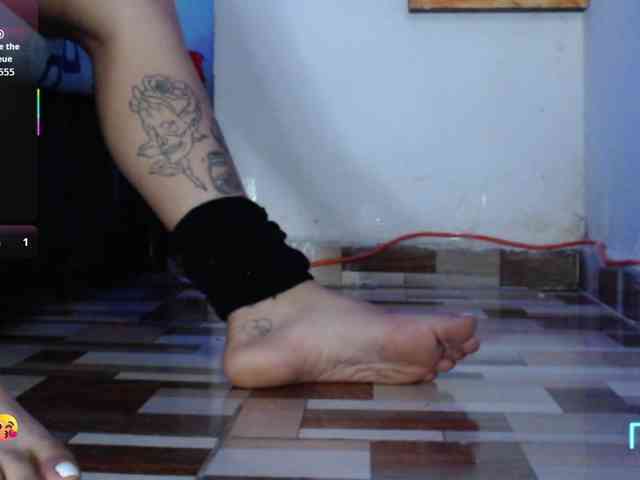 dakkohott webcam