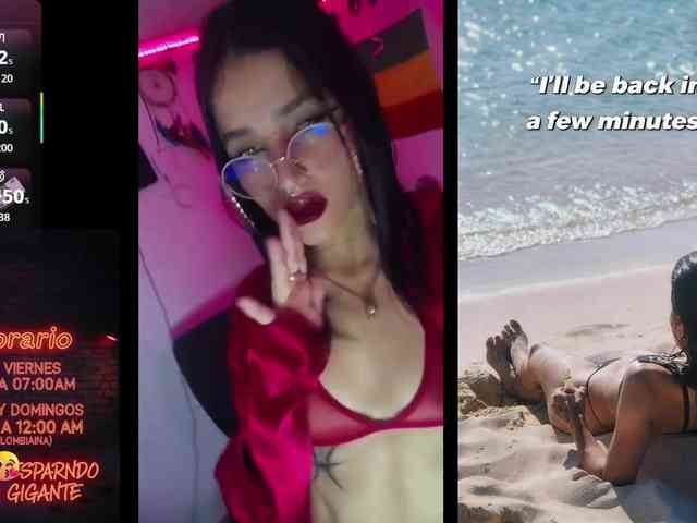 dakkohott webcam