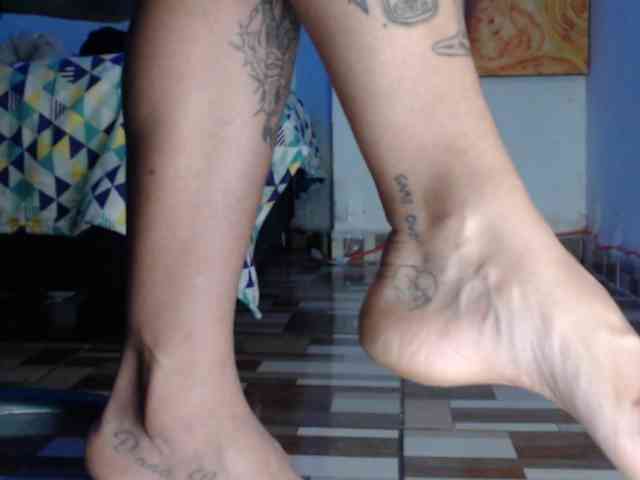 dakkohott webcam
