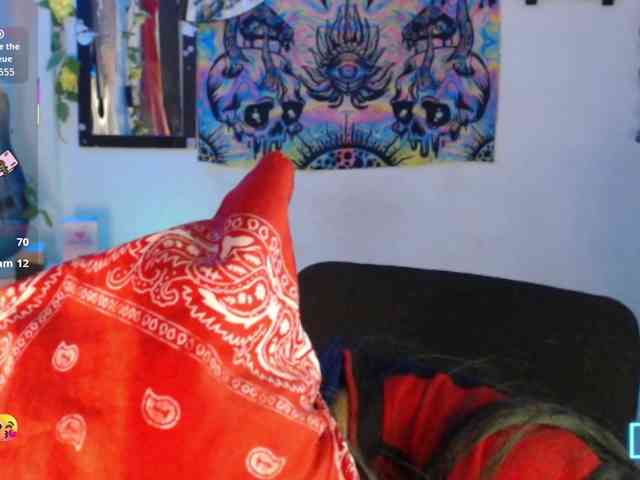 dakkohott webcam