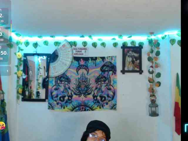 dakkohott webcam
