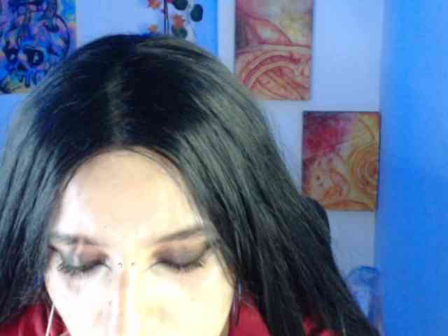 dakkohott webcam